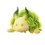 Bubbeep Aniimo avatar