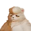 Grizbo Aniimo avatar