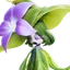 Witchin Aniimo avatar